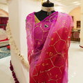 Sheesh Saree